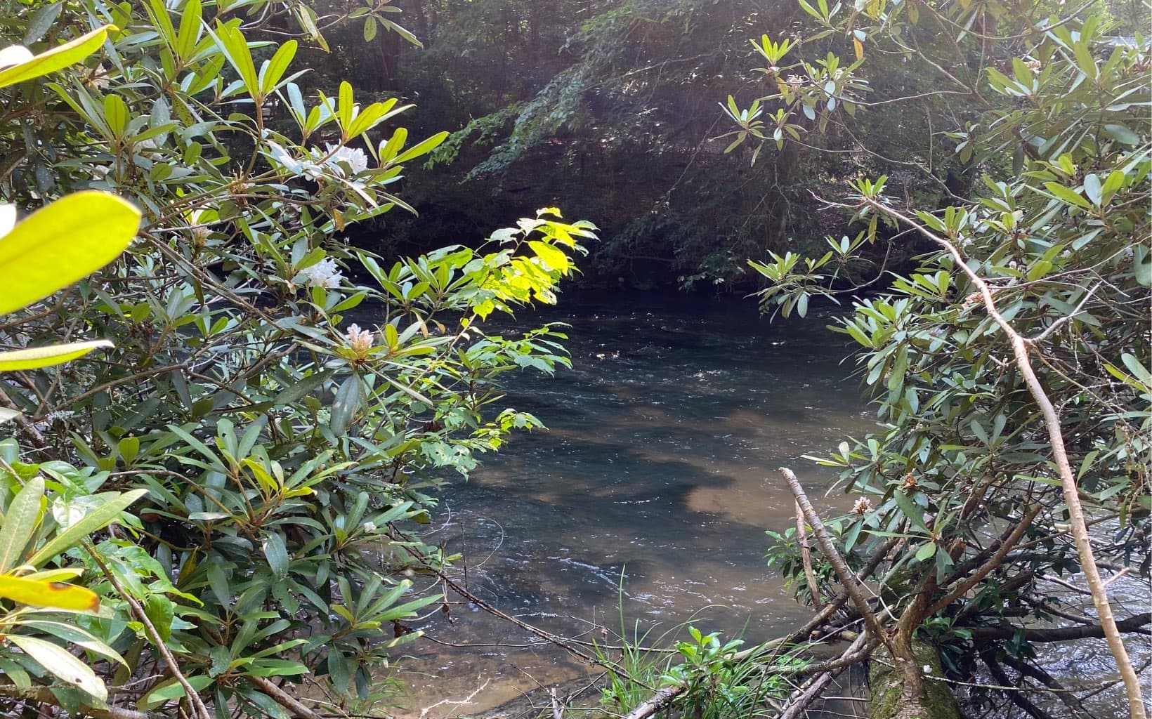 Lot 645 Wedowee Ct (Lot 645), Ellijay GA 30540 - Photo