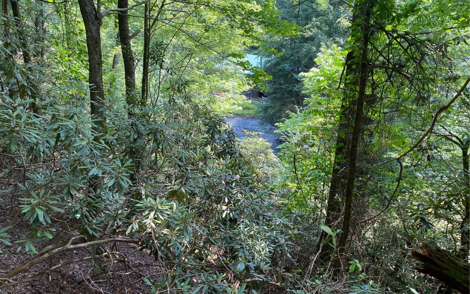 Lot 645 Wedowee Ct (Lot 645), Ellijay GA 30540 - Photo