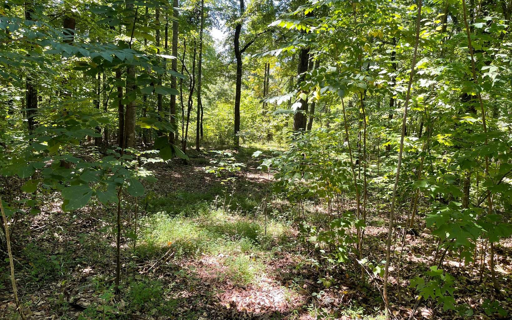 11B Grandview Drive, Hayesville NC 28904 - Photo