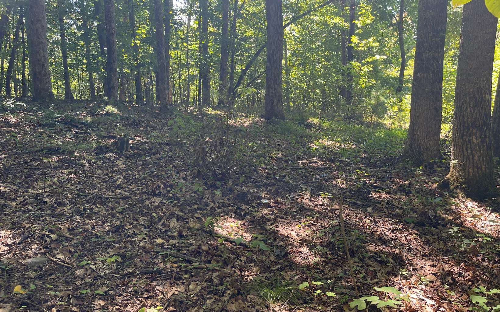 11B Grandview Drive, Hayesville NC 28904 - Photo