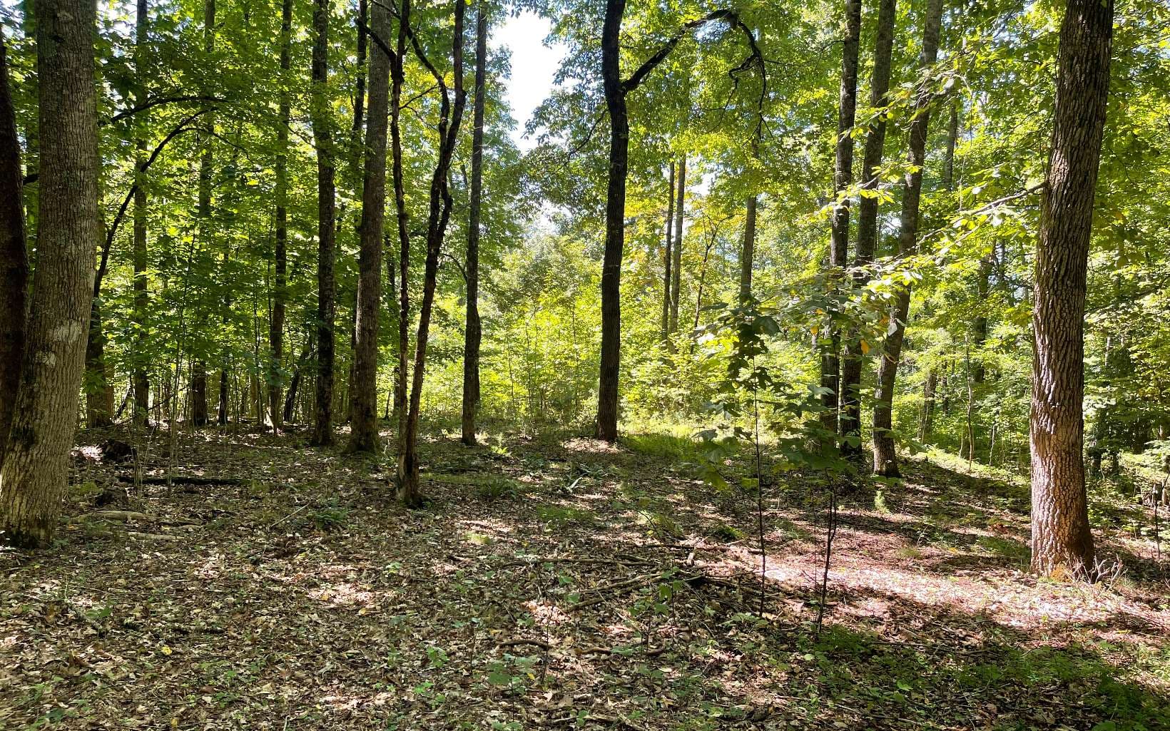 11B Grandview Drive, Hayesville NC 28904 - Primary photo