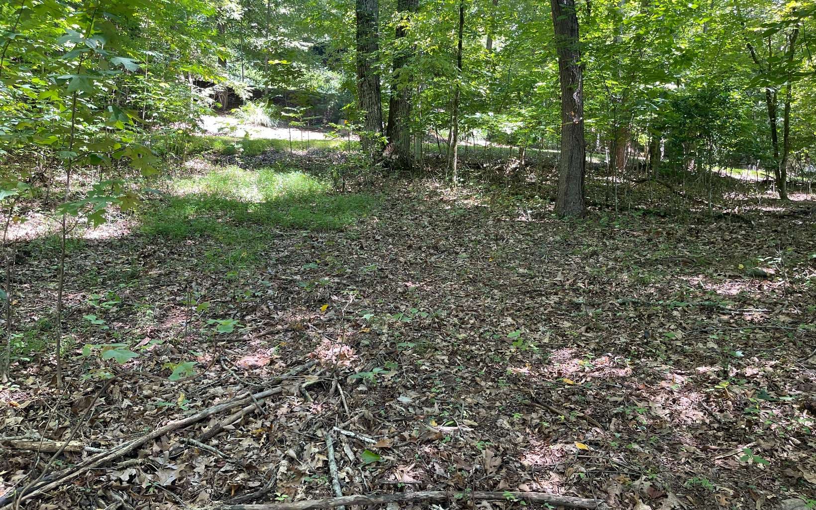 11B Grandview Drive, Hayesville NC 28904 - Photo