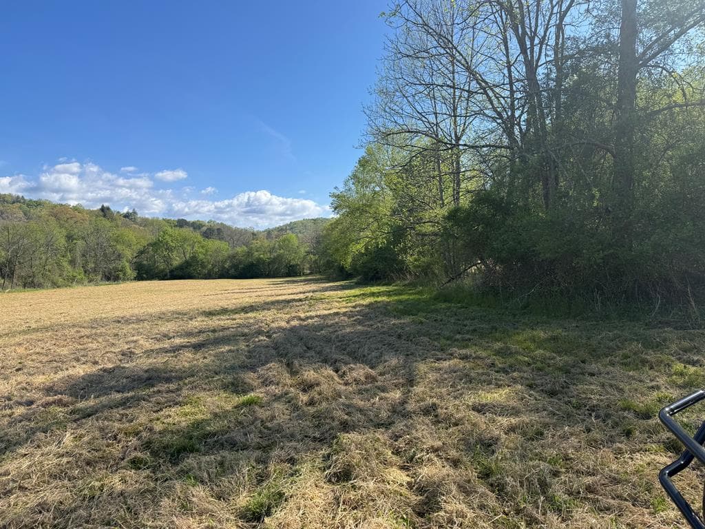 37+AC Jarrett Road, Hayesville NC 28904 - Photo