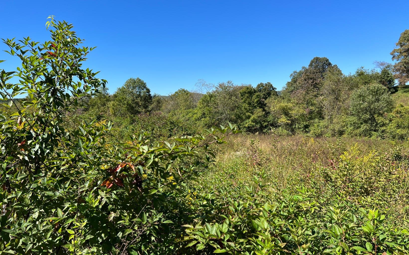 37+AC Jarrett Road, Hayesville NC 28904 - Photo