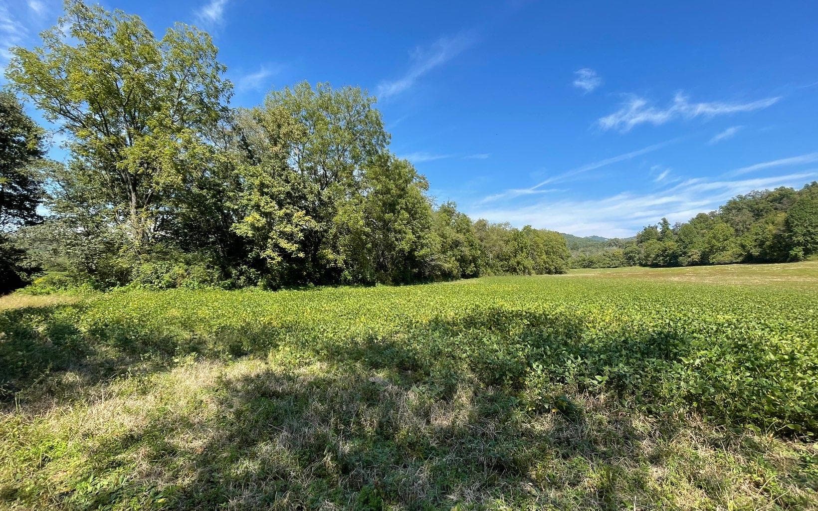 37+AC Jarrett Road, Hayesville NC 28904 - Photo