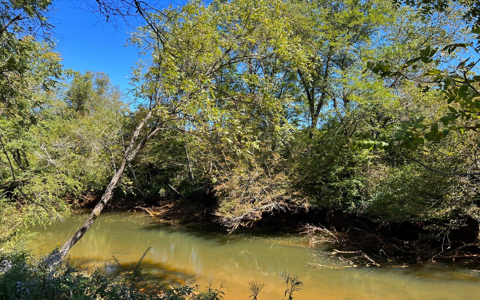 37+AC Jarrett Road, Hayesville NC 28904 - Photo