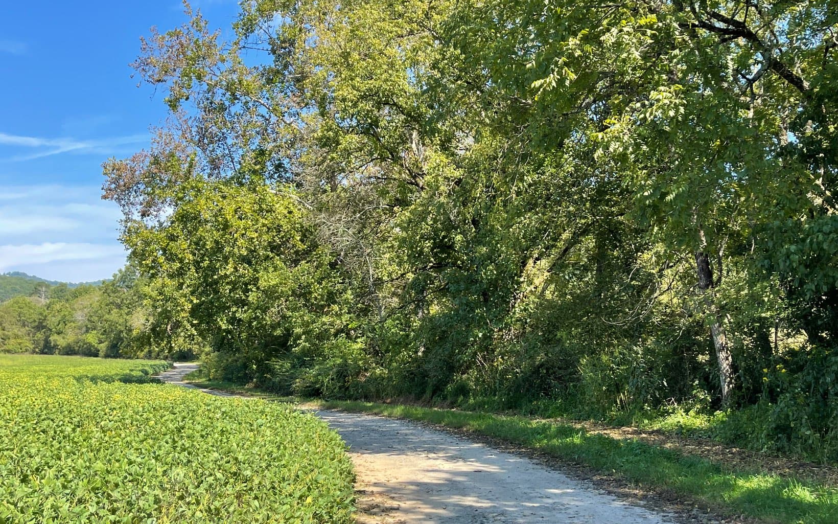 37+AC Jarrett Road, Hayesville NC 28904 - Photo