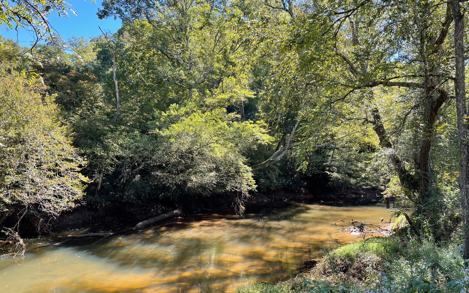 37+AC Jarrett Road, Hayesville NC 28904 - Photo