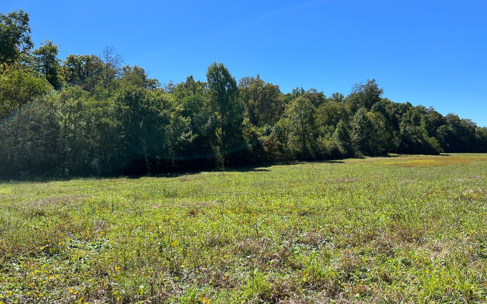 37+AC Jarrett Road, Hayesville NC 28904 - Photo