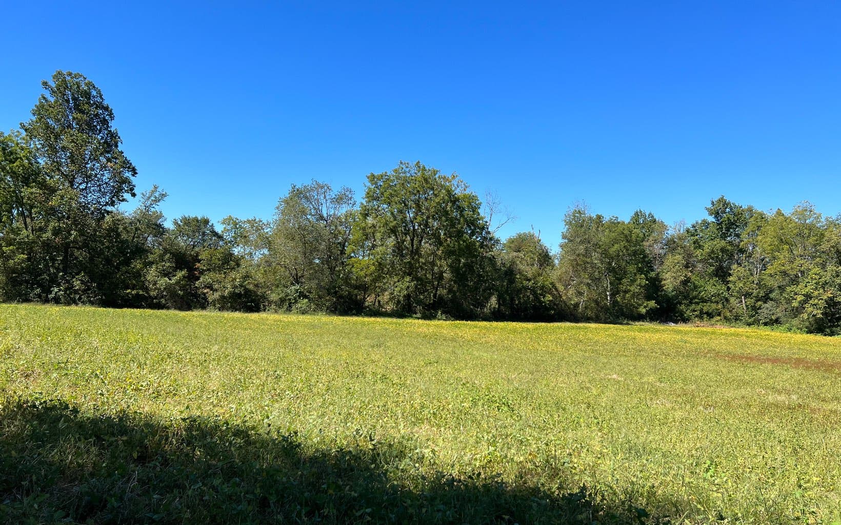 37+AC Jarrett Road, Hayesville NC 28904 - Photo