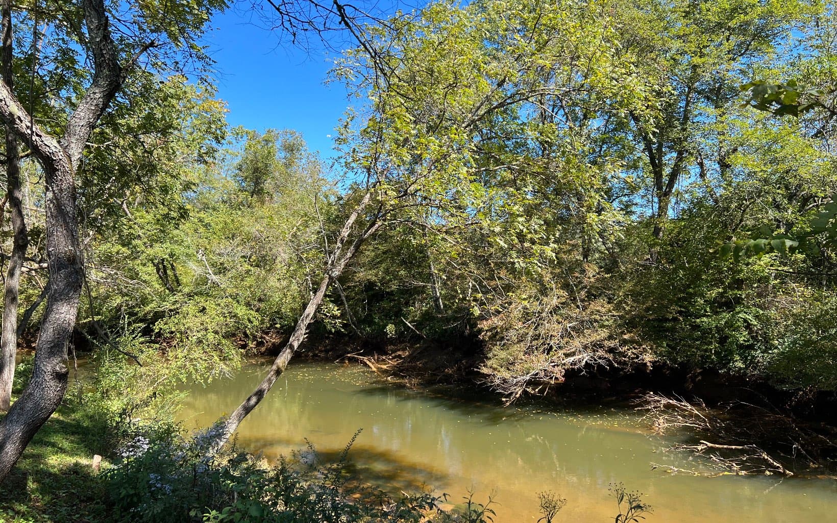 37+AC Jarrett Road, Hayesville NC 28904 - Photo