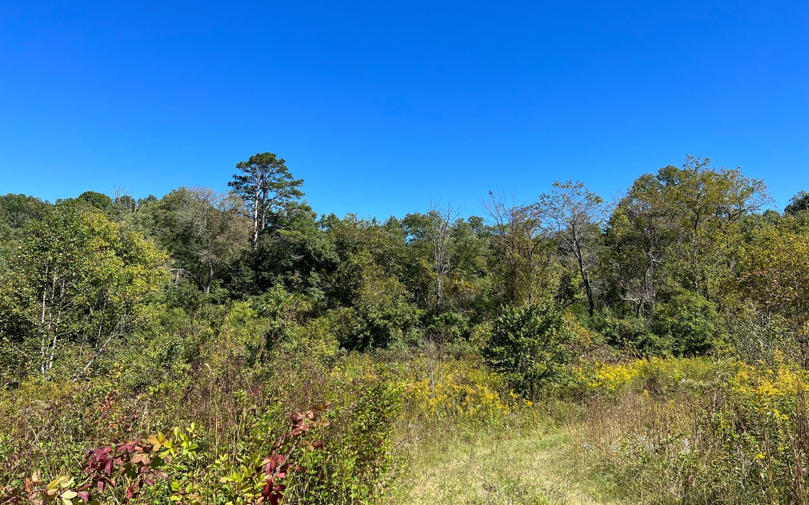 37+AC Jarrett Road, Hayesville NC 28904 - Photo