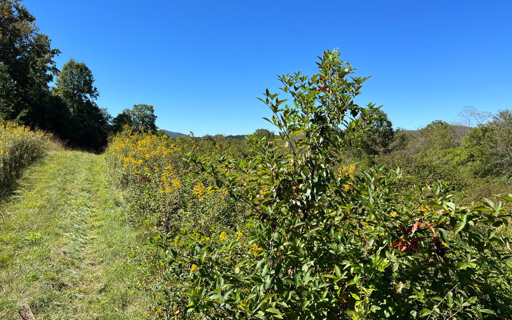 37+AC Jarrett Road, Hayesville NC 28904 - Photo