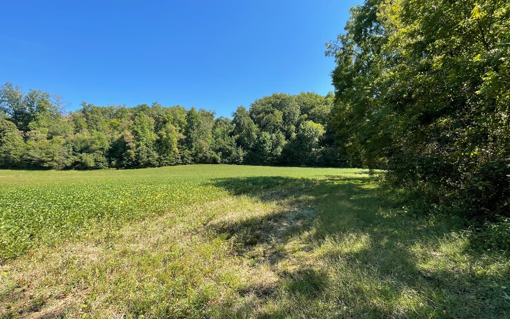 37+AC Jarrett Road, Hayesville NC 28904 - Photo