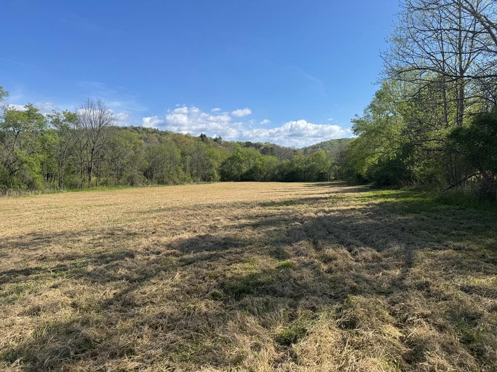 37+AC Jarrett Road, Hayesville NC 28904 - Photo