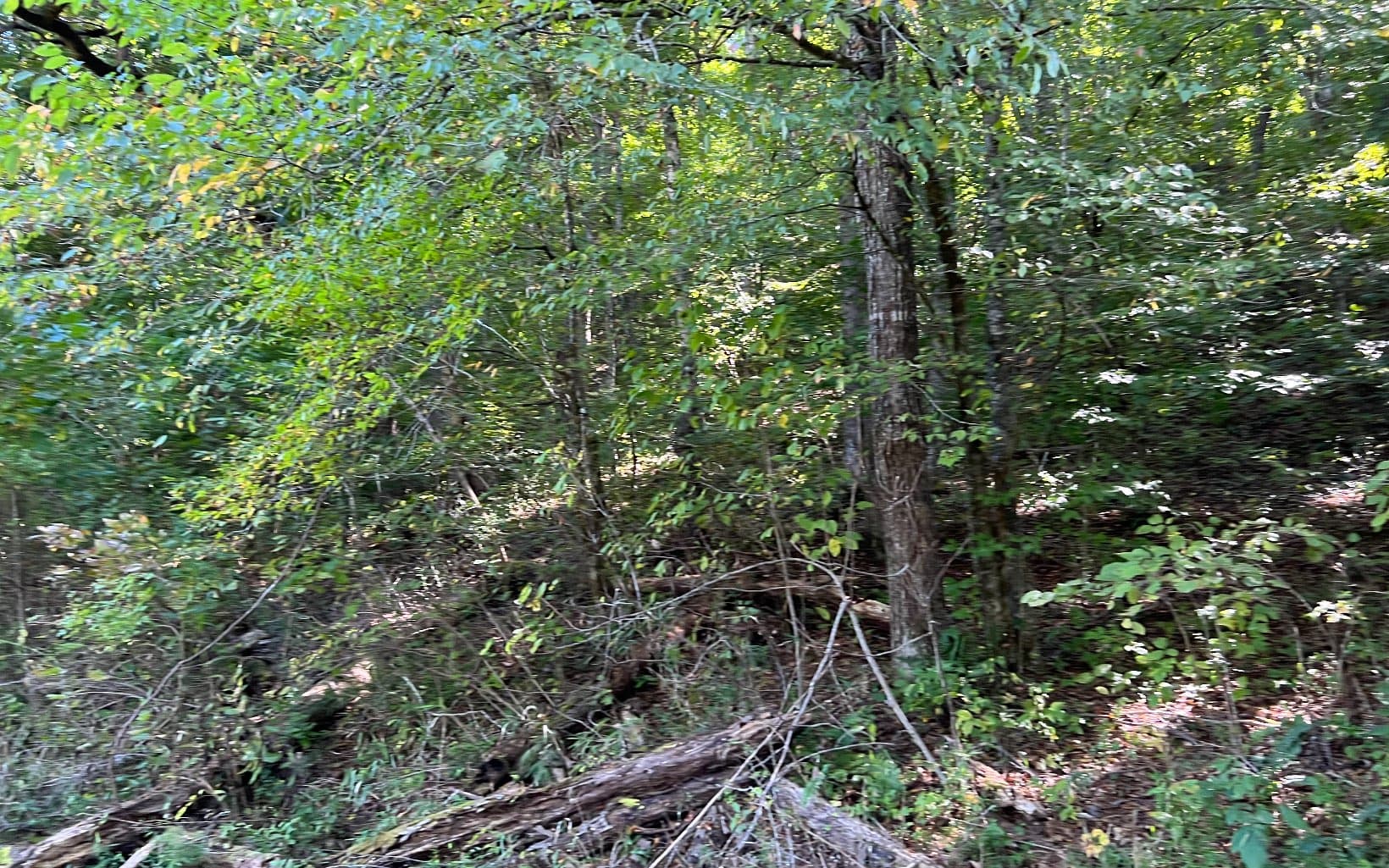 37+AC Jarrett Road, Hayesville NC 28904 - Photo