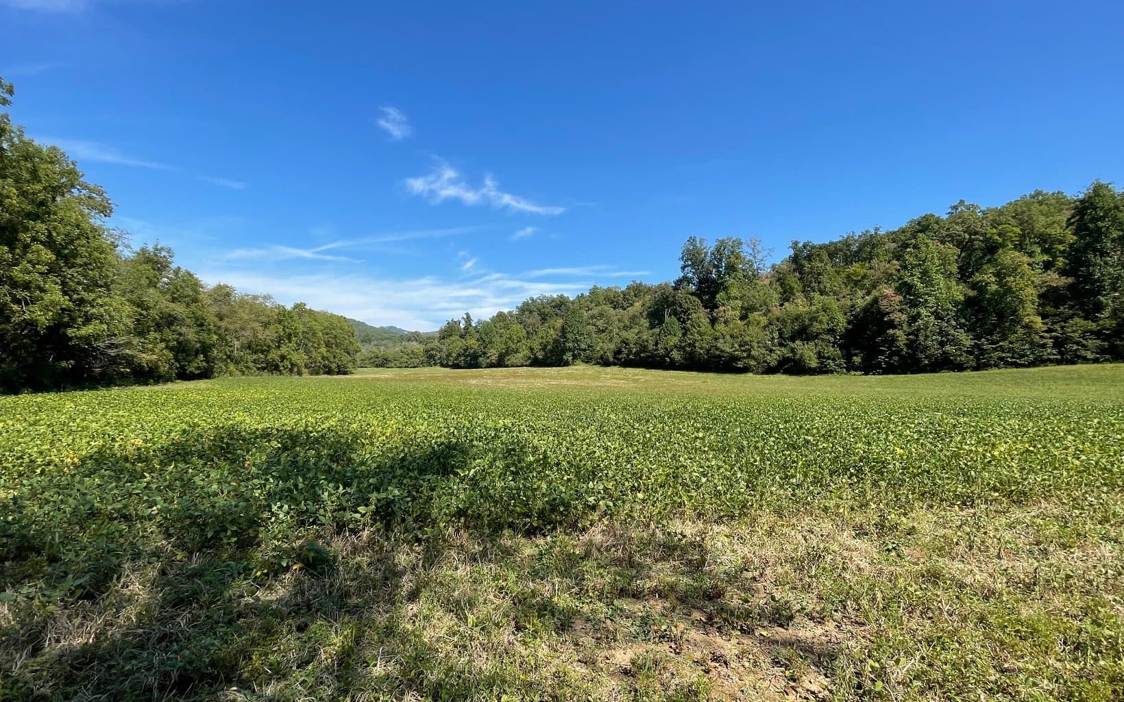 37+AC Jarrett Road, Hayesville NC 28904 - Photo