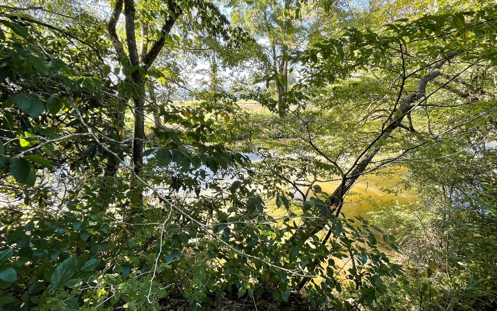 37+AC Jarrett Road, Hayesville NC 28904 - Photo