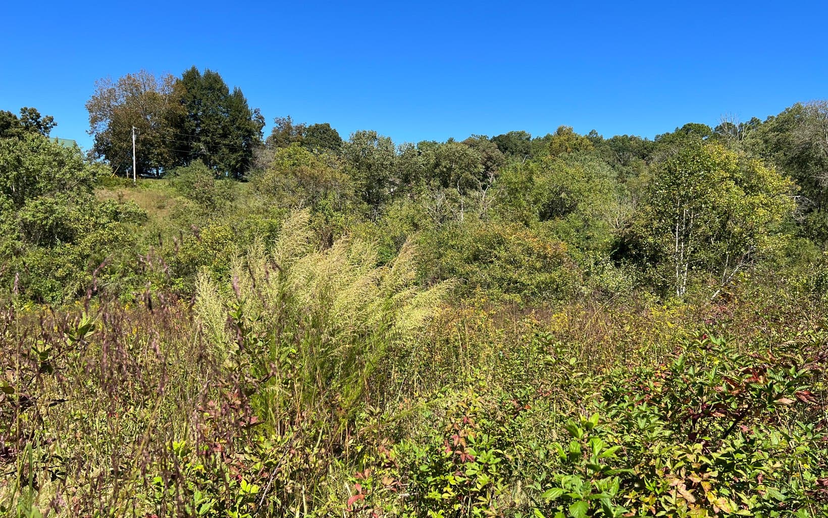 37+AC Jarrett Road, Hayesville NC 28904 - Photo