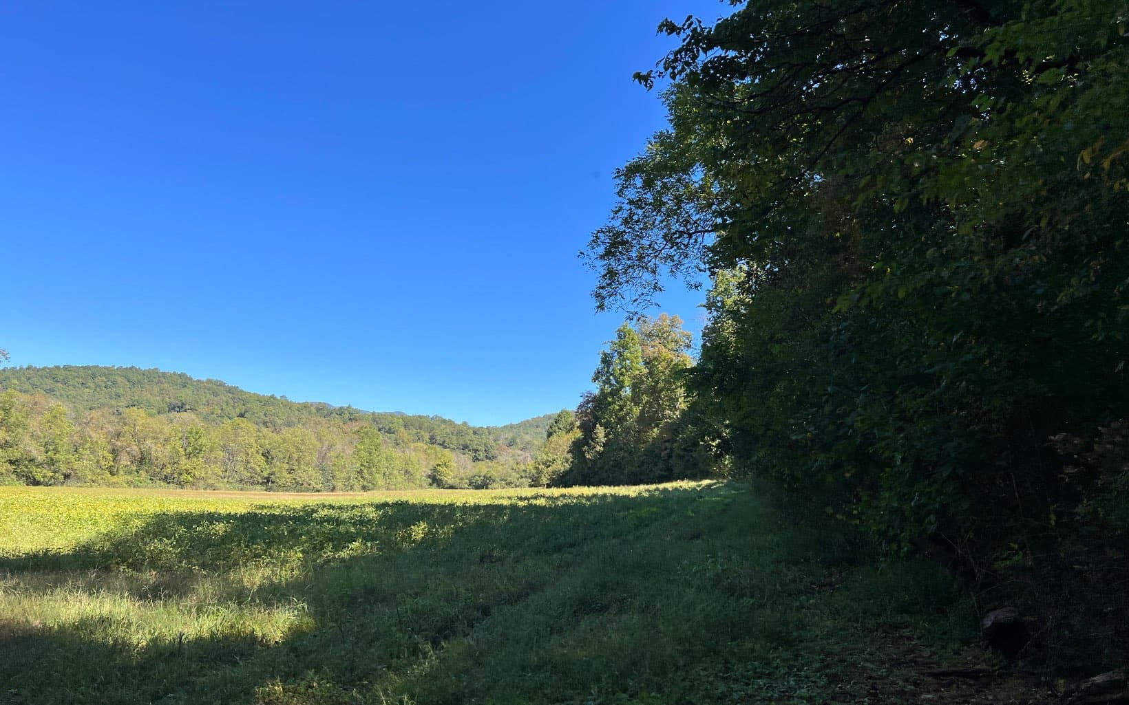 37+AC Jarrett Road, Hayesville NC 28904 - Photo