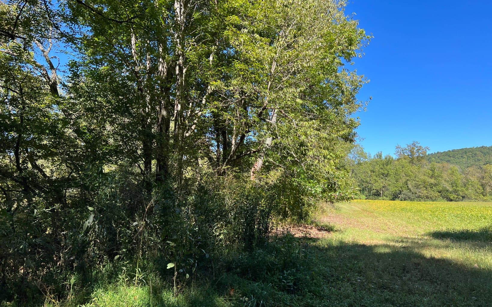 37+AC Jarrett Road, Hayesville NC 28904 - Photo