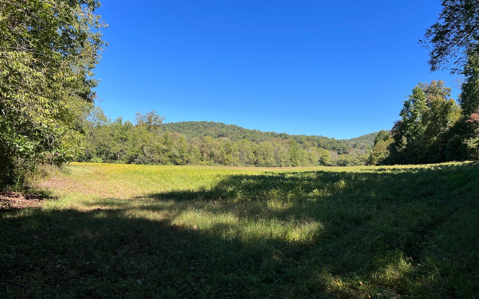 37+AC Jarrett Road, Hayesville NC 28904 - Photo