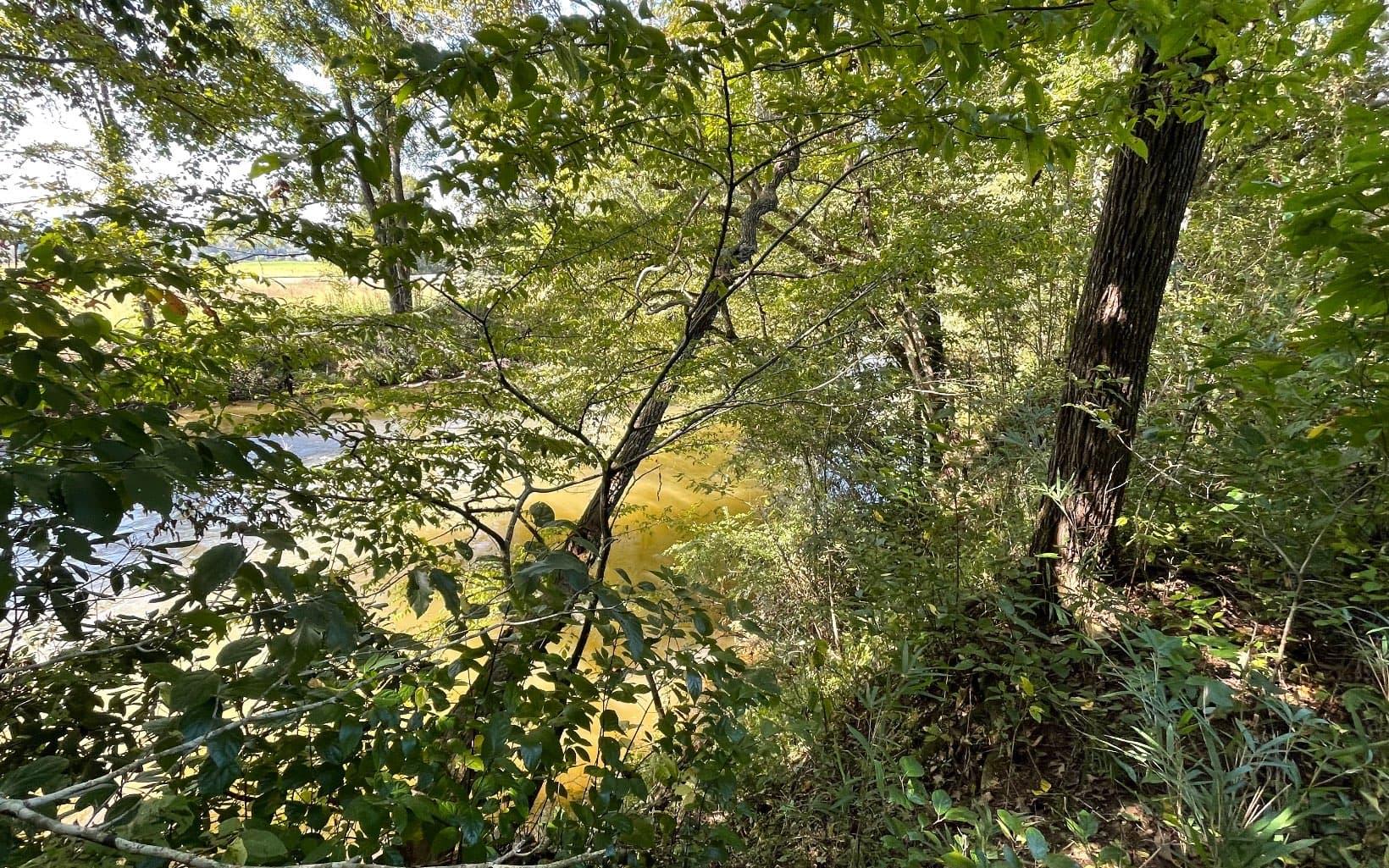 37+AC Jarrett Road, Hayesville NC 28904 - Photo