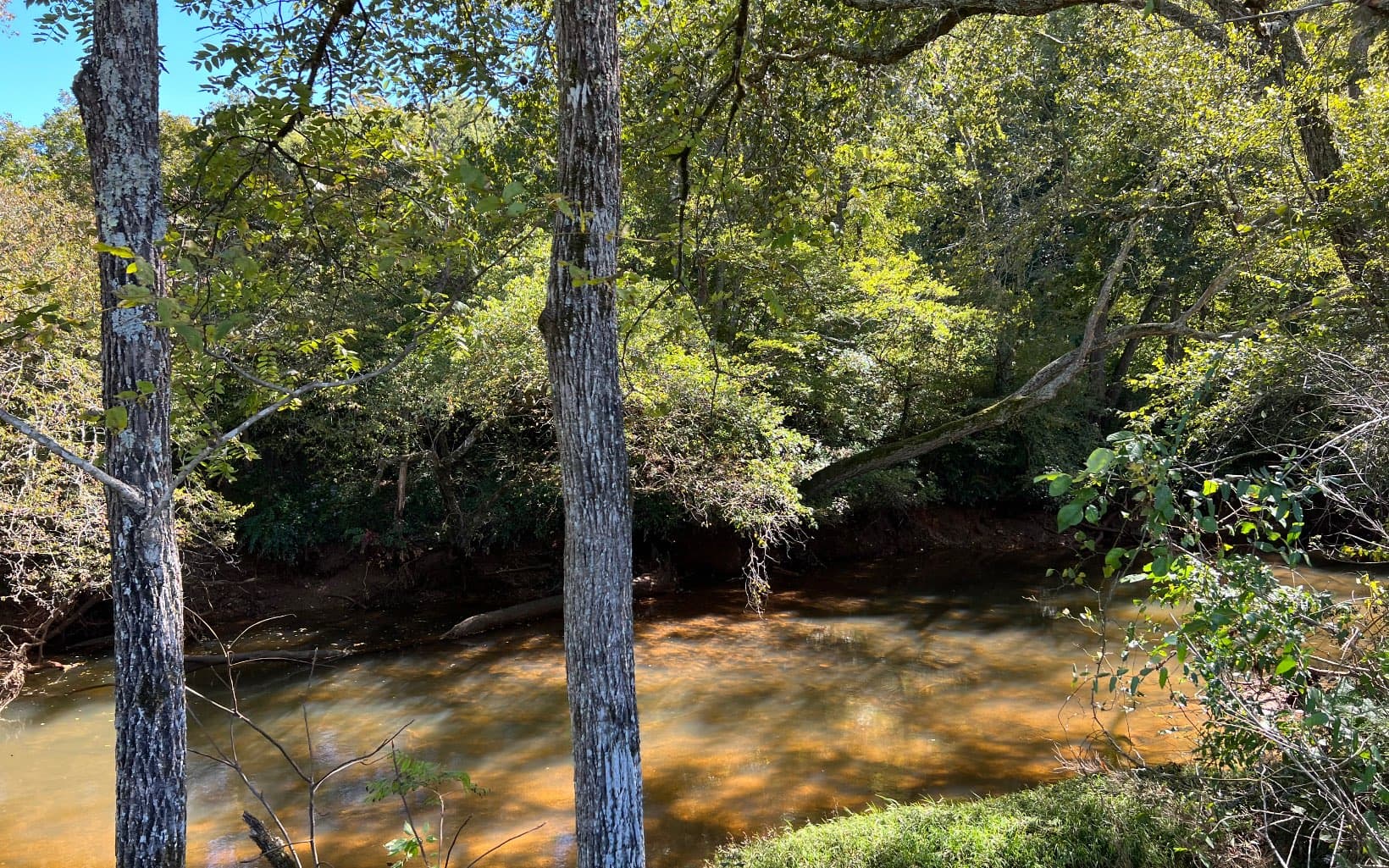 37+AC Jarrett Road, Hayesville NC 28904 - Photo