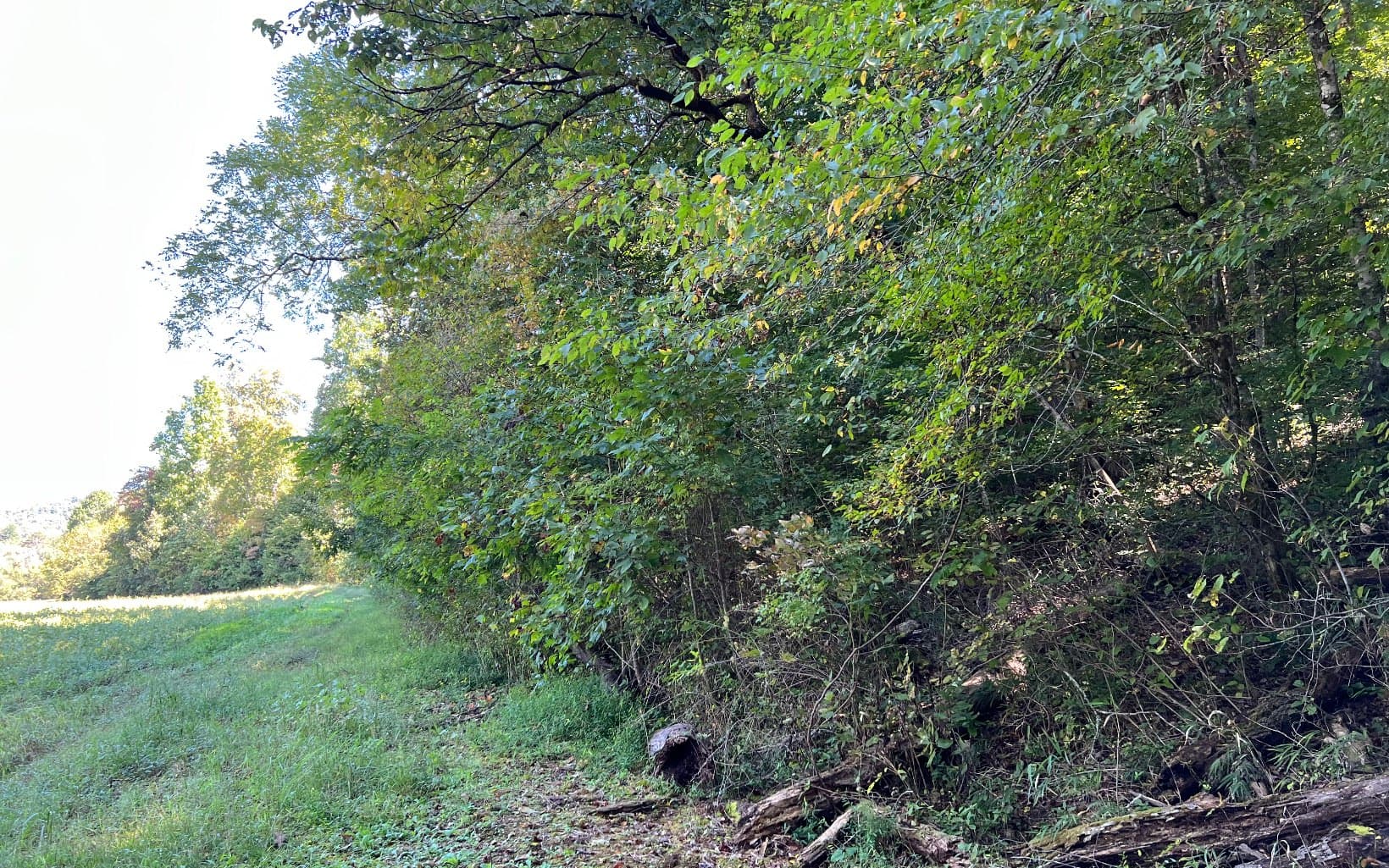 37+AC Jarrett Road, Hayesville NC 28904 - Photo