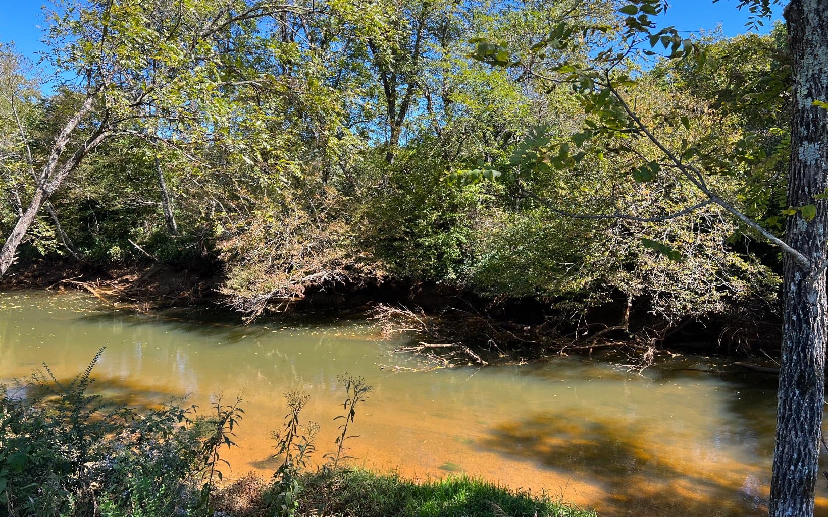 37+AC Jarrett Road, Hayesville NC 28904 - Photo