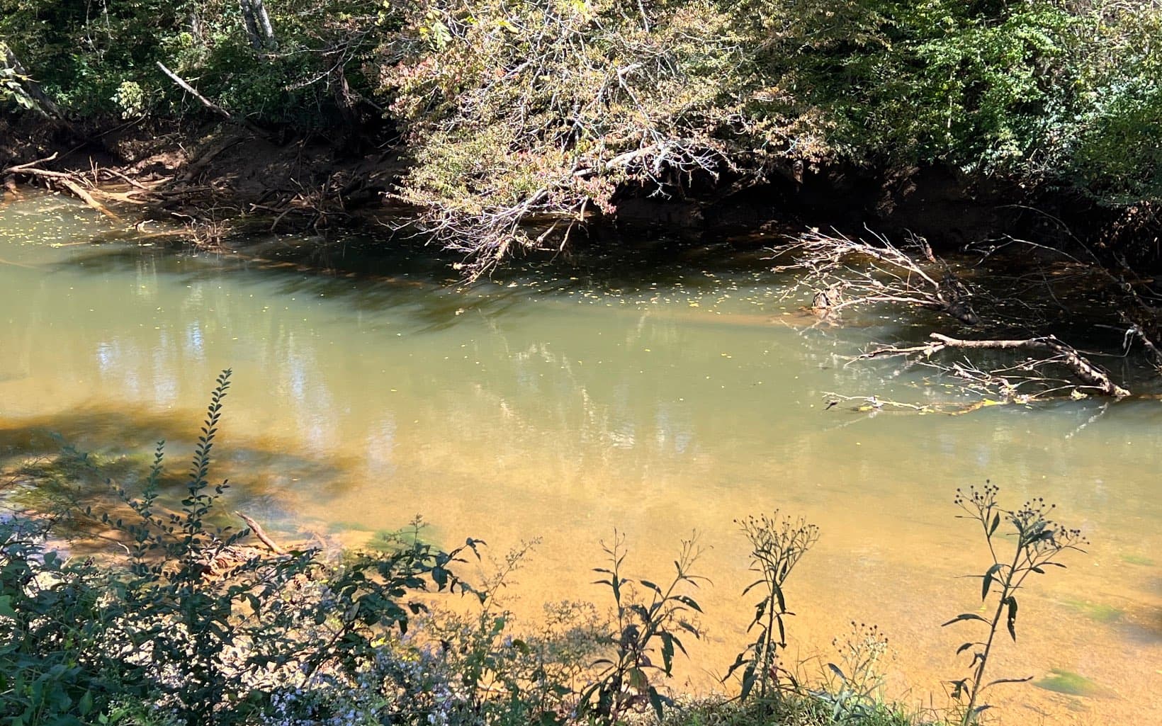 37+AC Jarrett Road, Hayesville NC 28904 - Photo