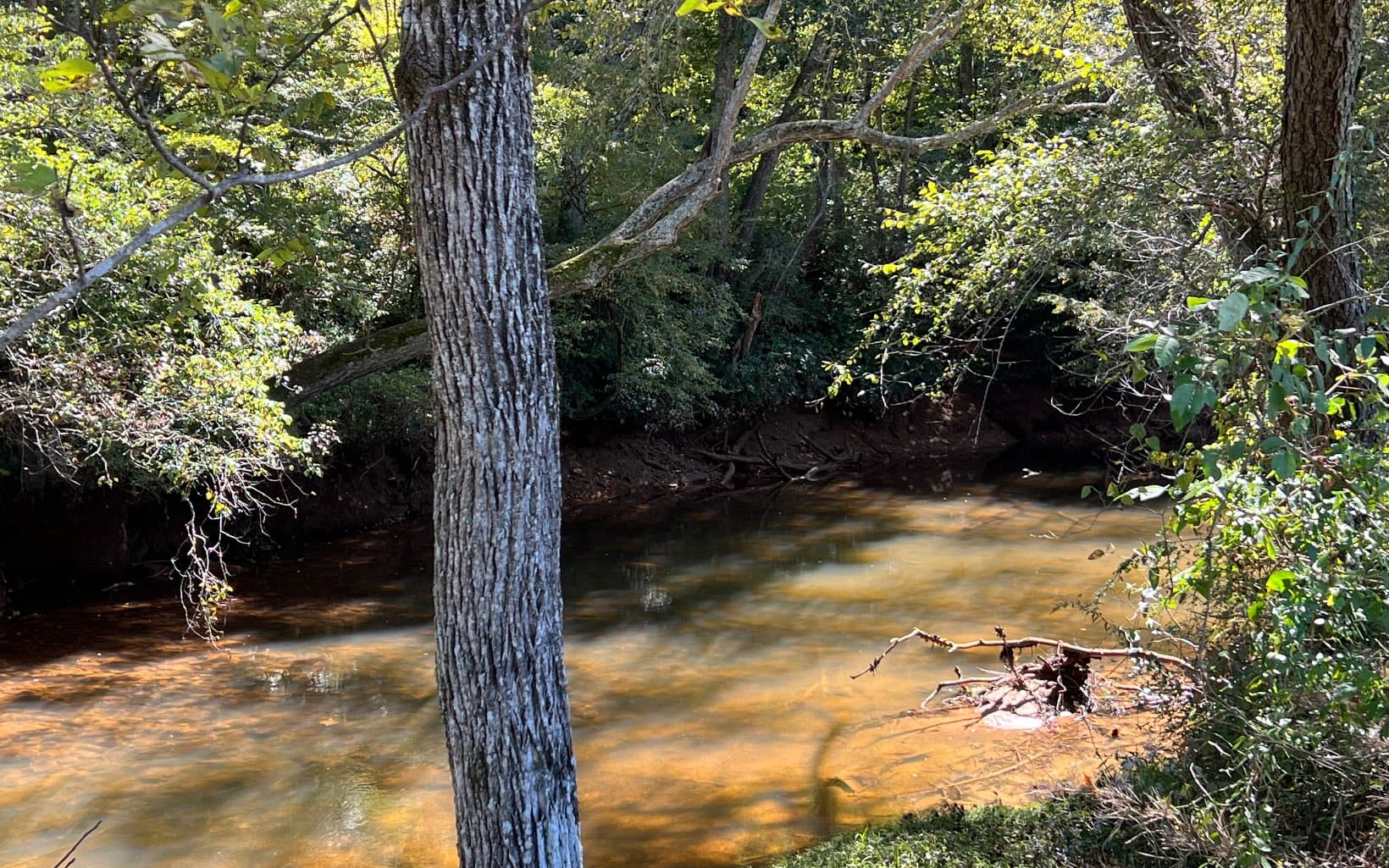 37+AC Jarrett Road, Hayesville NC 28904 - Photo