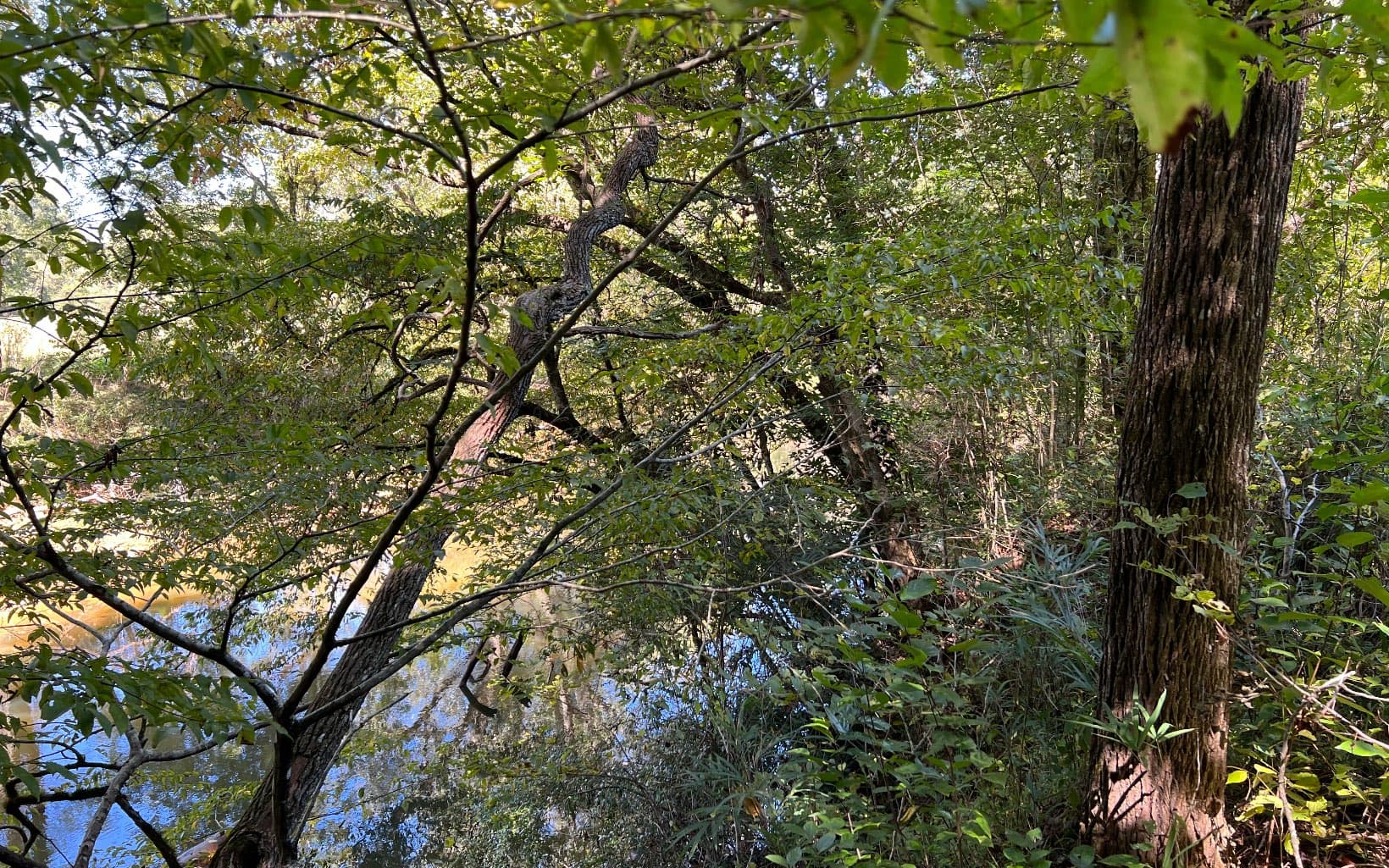 37+AC Jarrett Road, Hayesville NC 28904 - Photo