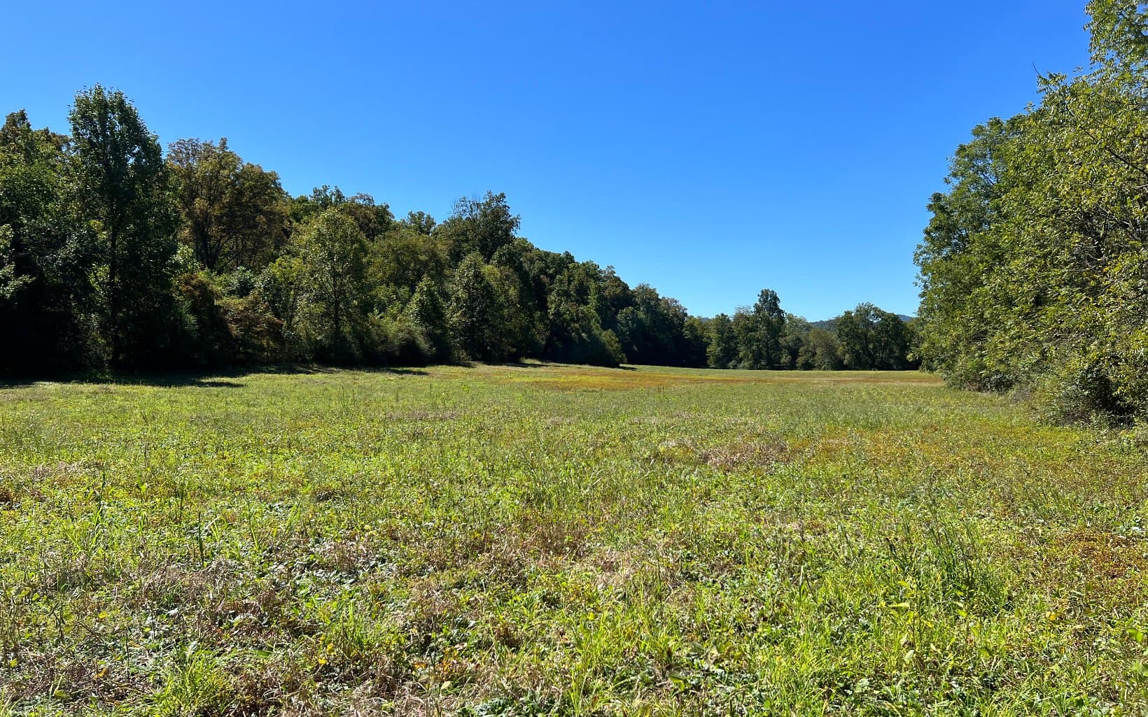 37+AC Jarrett Road, Hayesville NC 28904 - Photo