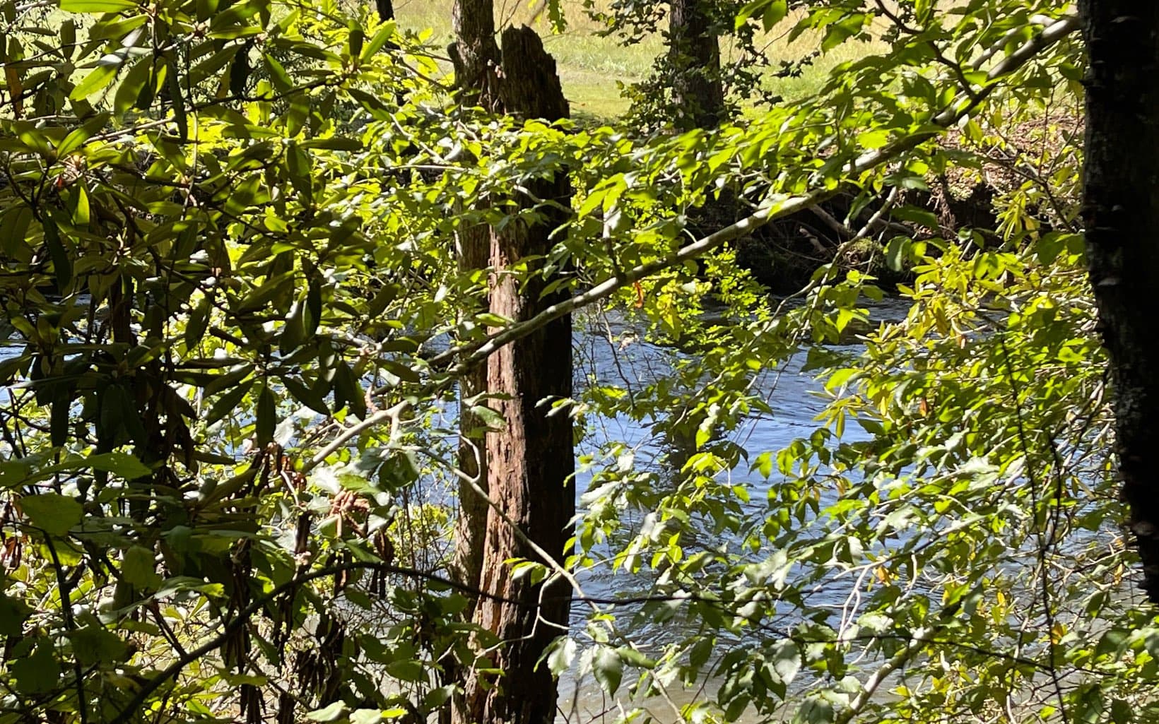 37+AC Jarrett Road, Hayesville NC 28904 - Photo
