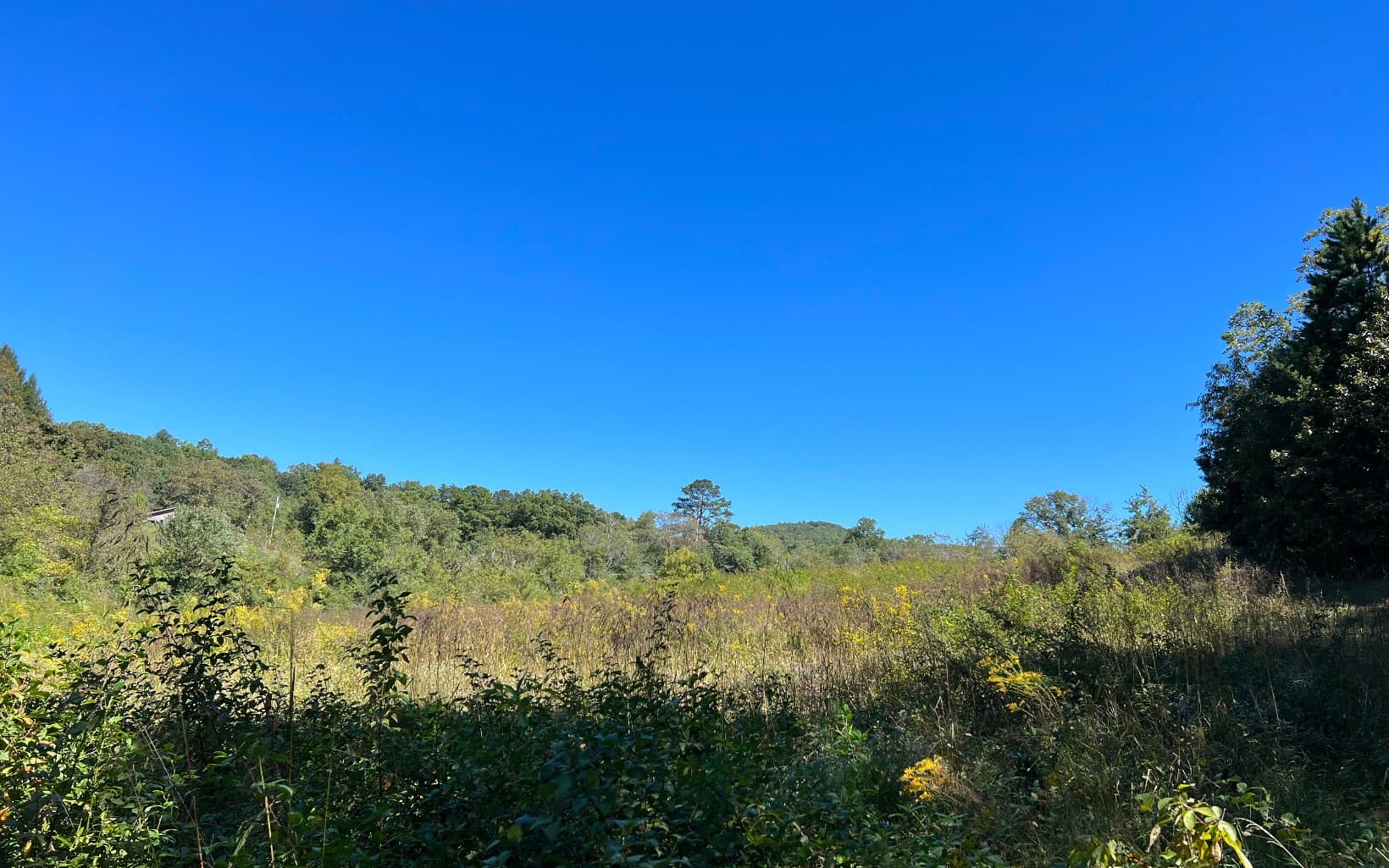 37+AC Jarrett Road, Hayesville NC 28904 - Photo