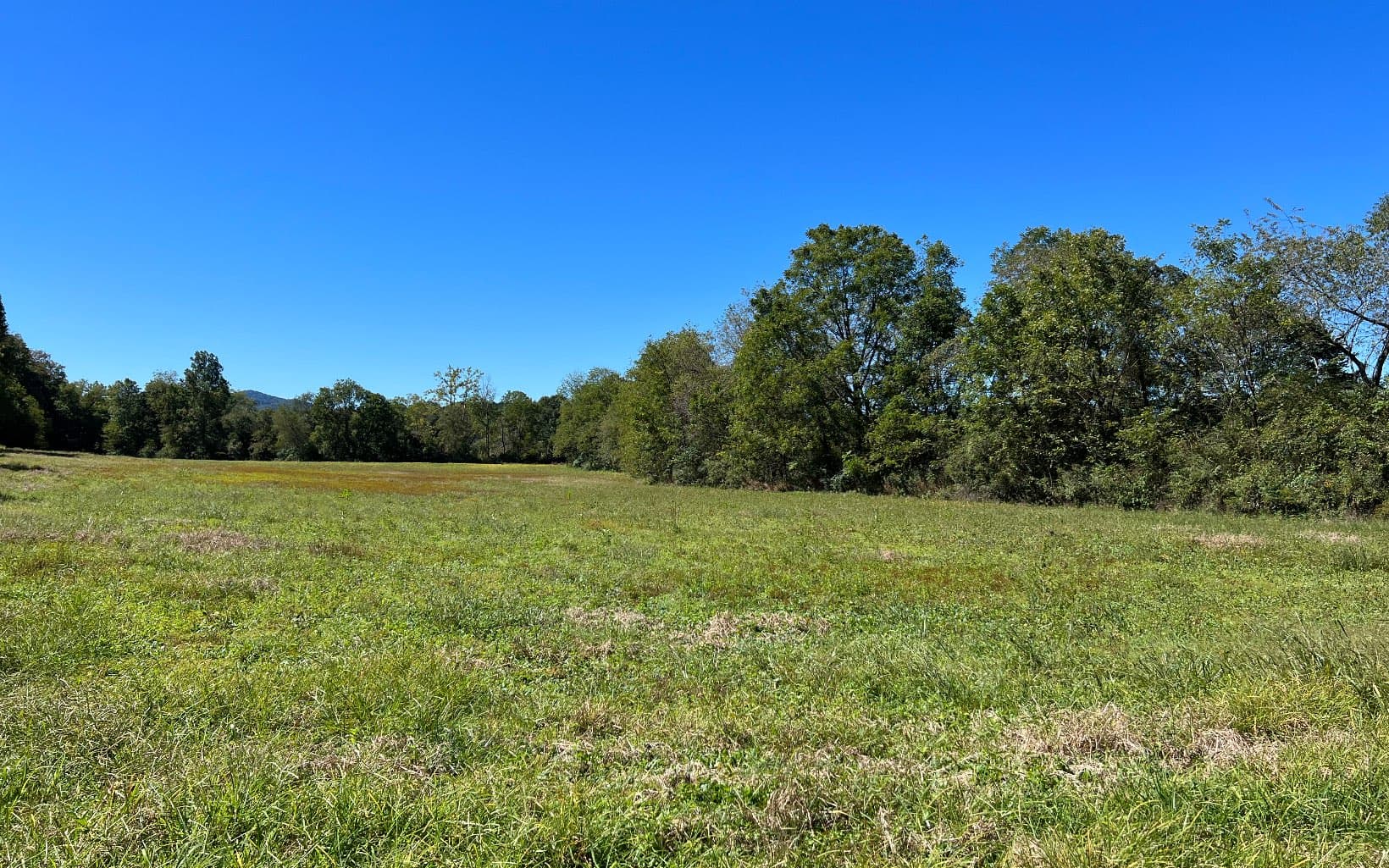 37+AC Jarrett Road, Hayesville NC 28904 - Photo