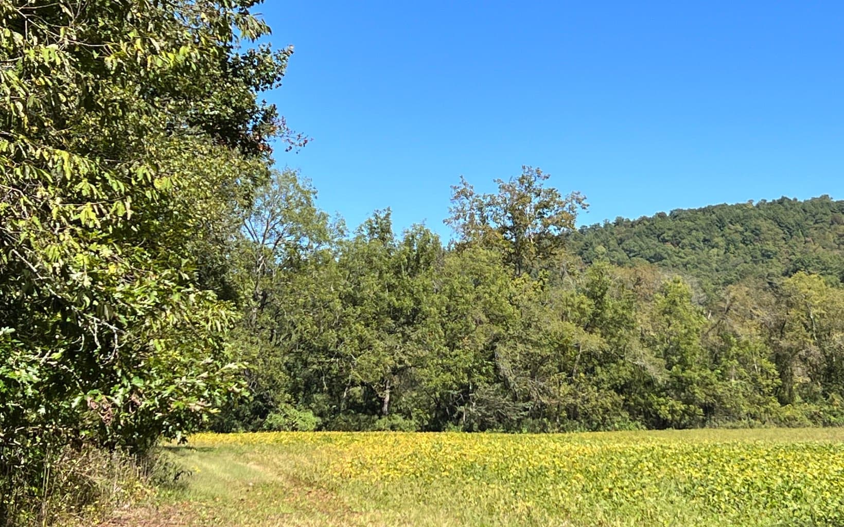 37+AC Jarrett Road, Hayesville NC 28904 - Photo