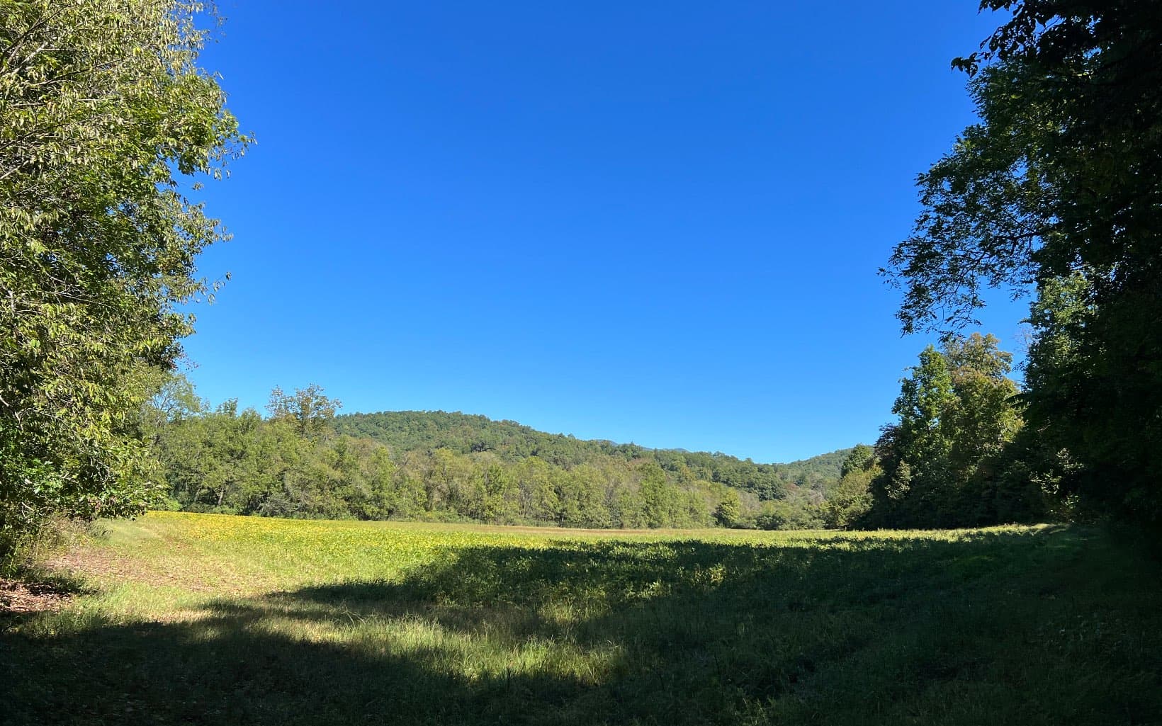 37+AC Jarrett Road, Hayesville NC 28904 - Photo