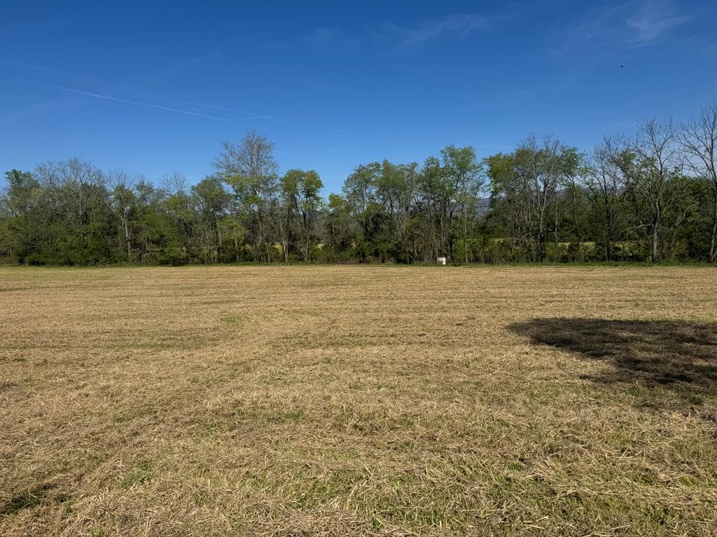37+AC Jarrett Road, Hayesville NC 28904 - Photo