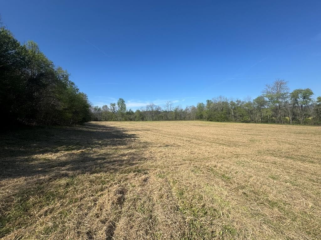 37+AC Jarrett Road, Hayesville NC 28904 - Photo