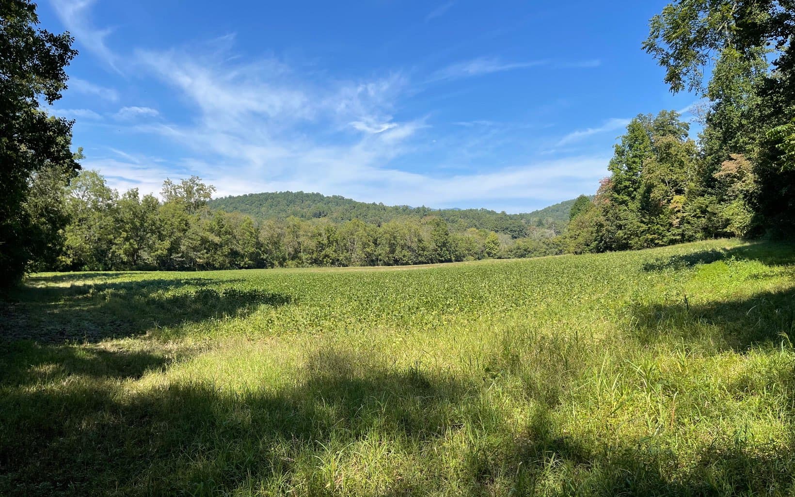 37+AC Jarrett Road, Hayesville NC 28904 - Photo