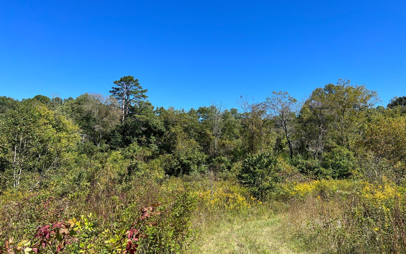 37+AC Jarrett Road, Hayesville NC 28904 - Photo