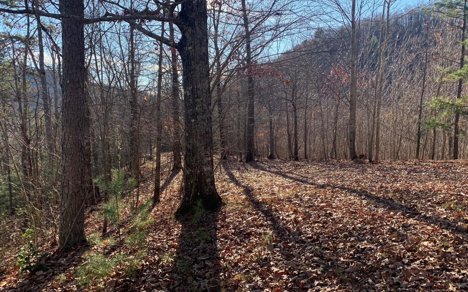 LOT25 Laurel Mountain Drive, Brasstown NC 28902 - Photo