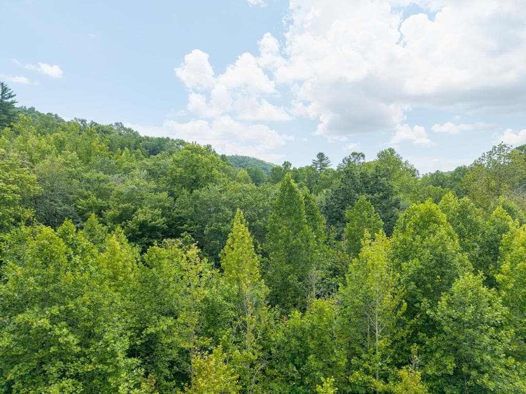 9-17 Mary Lane, Hayesville NC 28904 - Photo