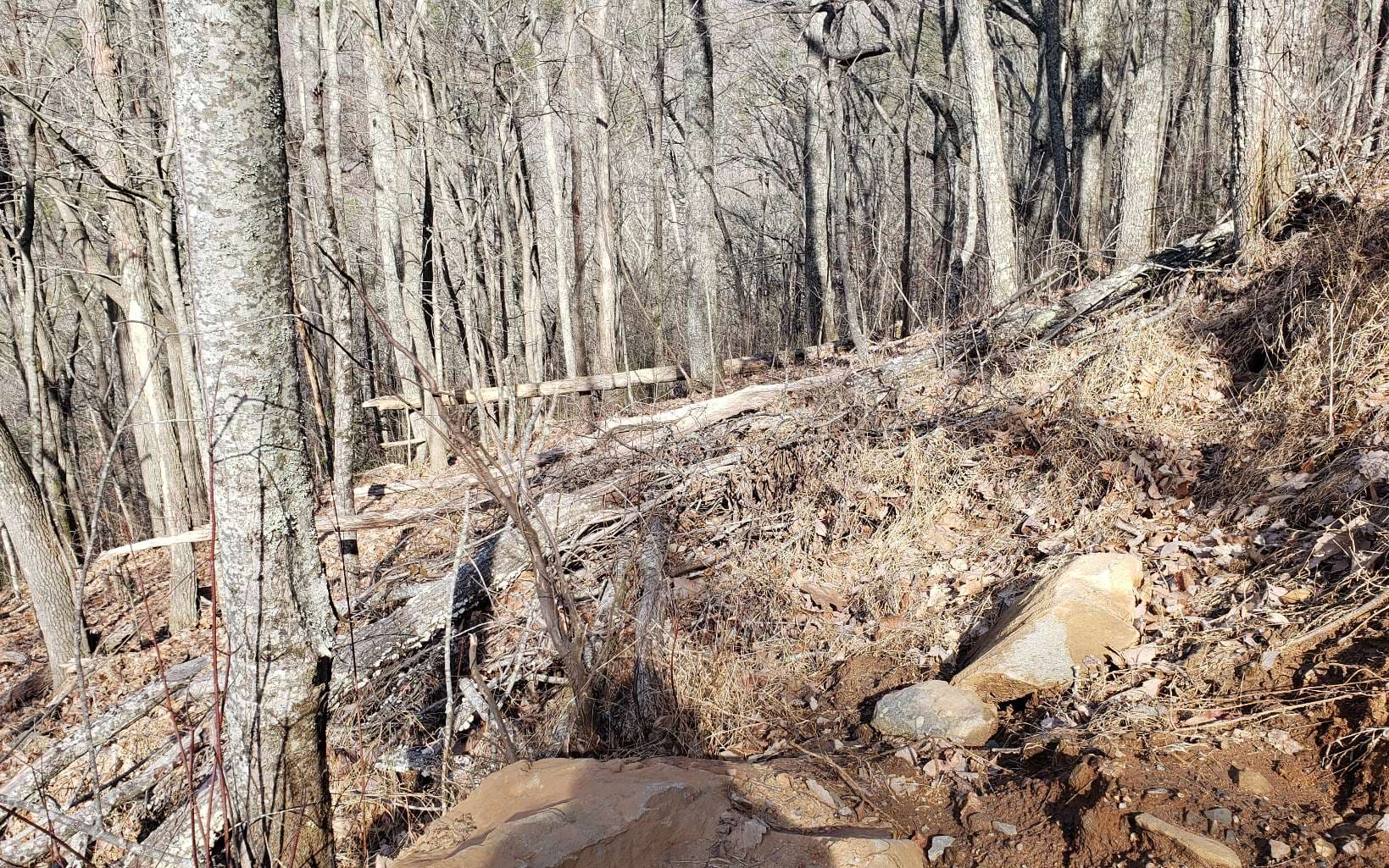 LT 28A Sassafras Ridge Road, Copperhill TN 37317 - Photo