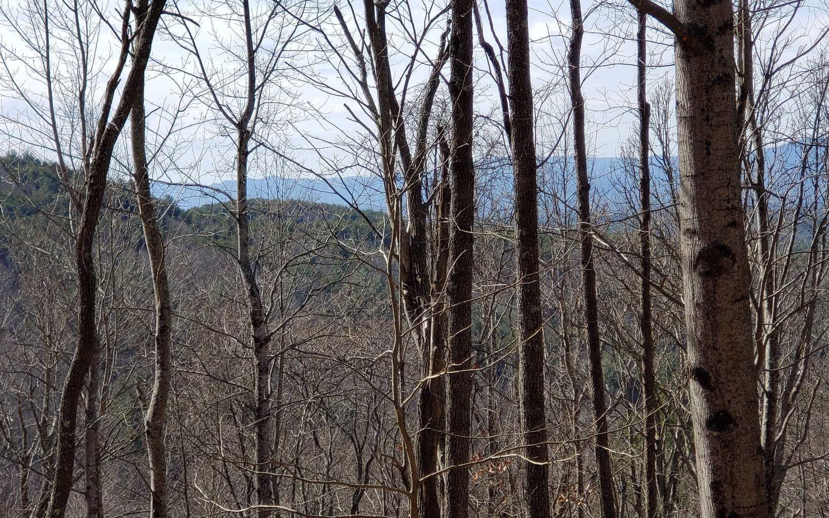 LT 28A Sassafras Ridge Road, Copperhill TN 37317 - Photo