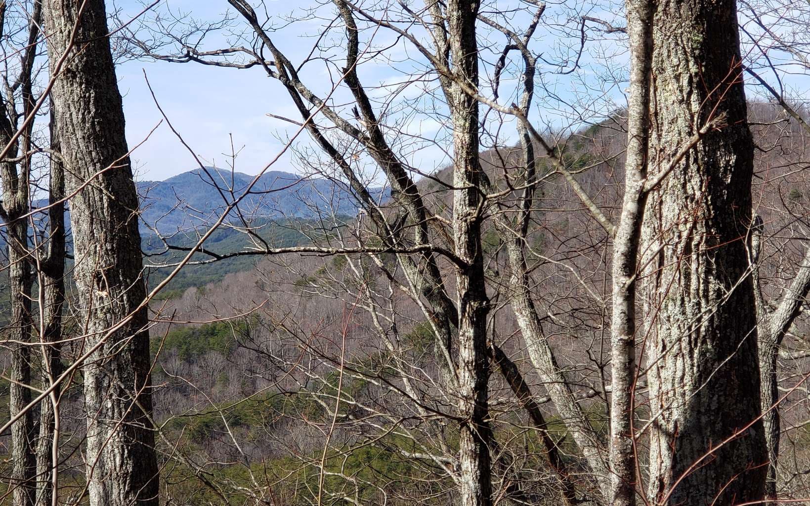 LT 28A Sassafras Ridge Road, Copperhill TN 37317 - Primary photo