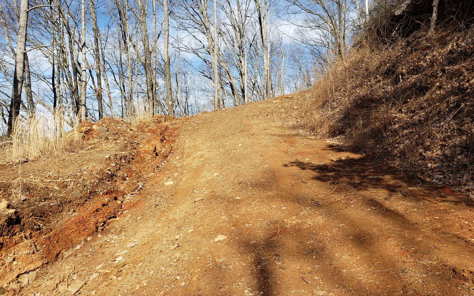 LT 28A Sassafras Ridge Road, Copperhill TN 37317 - Photo
