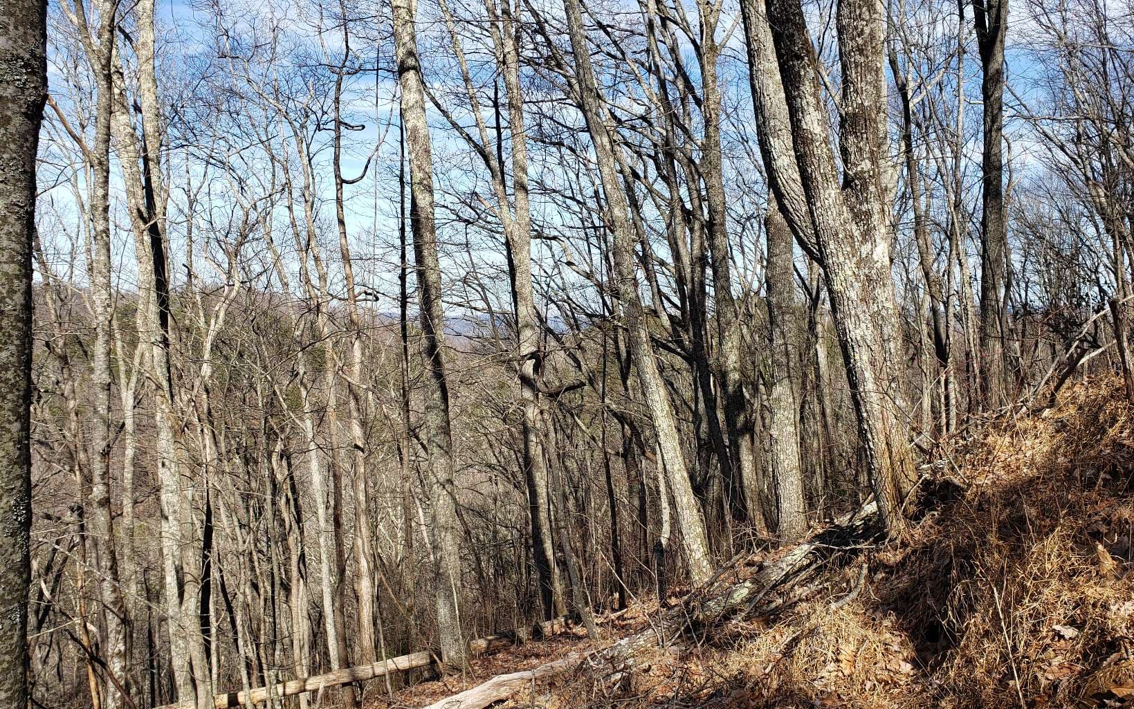 LT 28A Sassafras Ridge Road, Copperhill TN 37317 - Photo